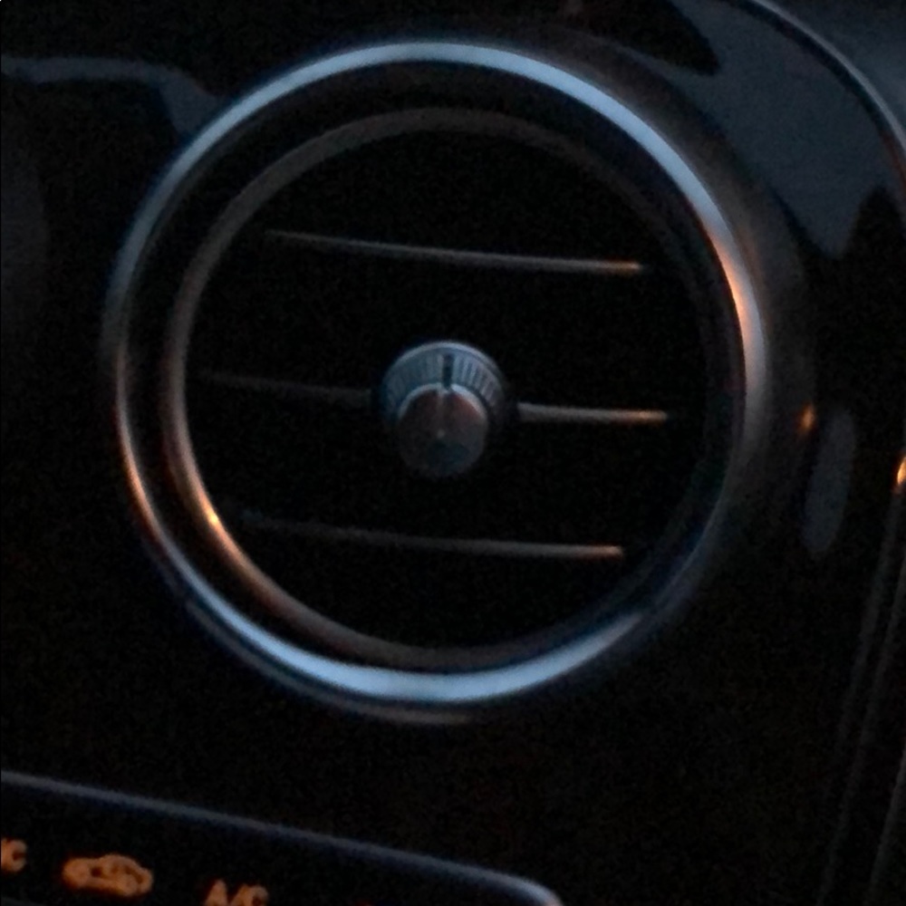 Meet your Posher, Lillian